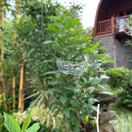Sugita Wooden House Otel Payangan Dış mekan fotoğraf